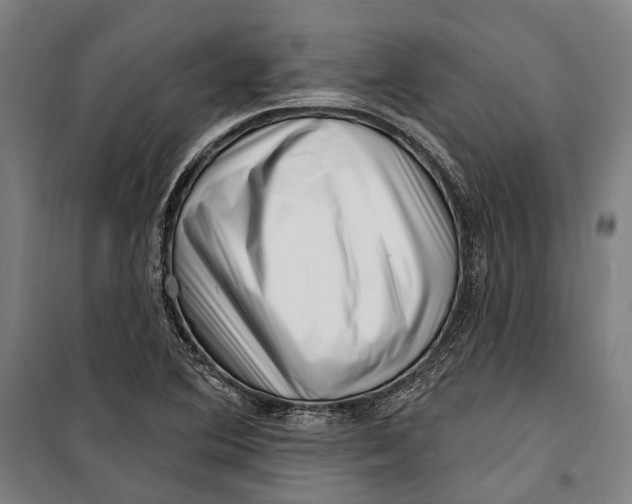 X0000099541364200806061445