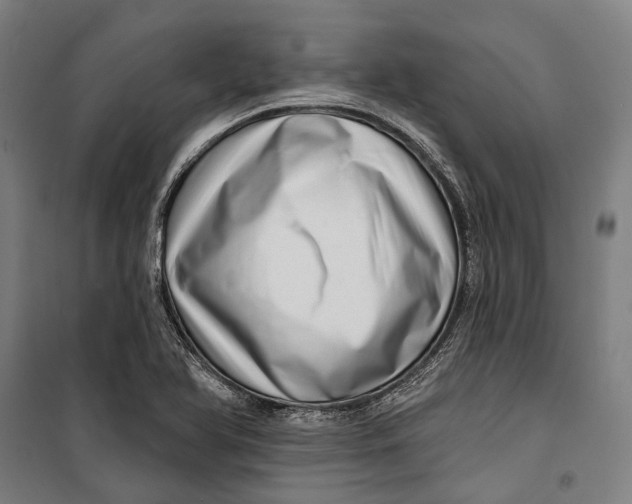 X0000099541366200806061445