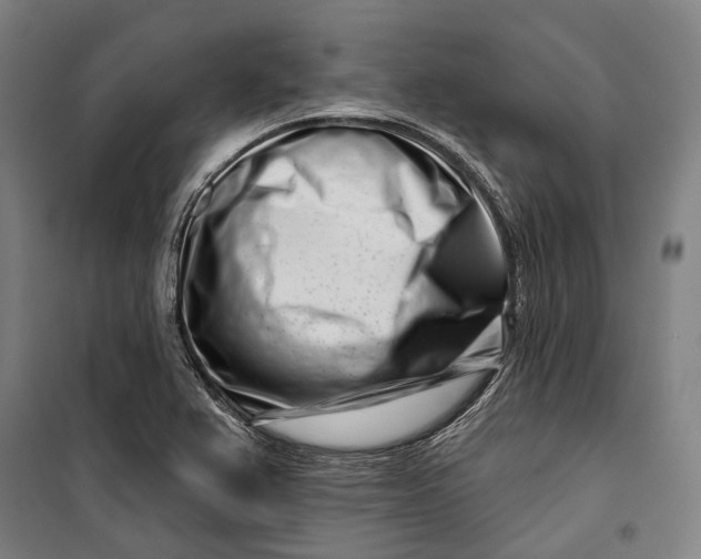 X0000099541367200806061445