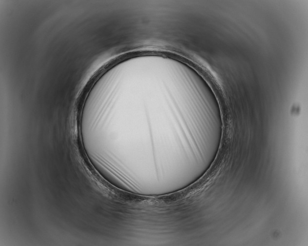 X0000099541368200806061445