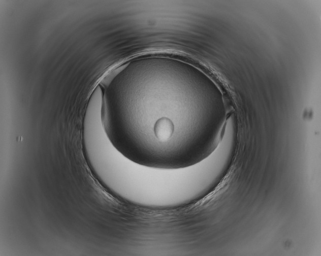 X0000099541369200806061445