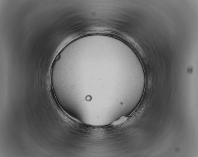 X0000099541370200806061445