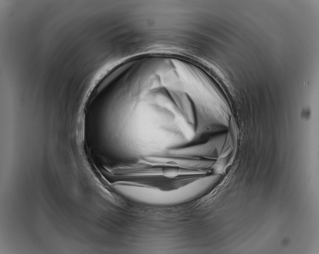 X0000099541371200806061445