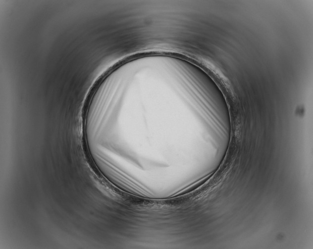 X0000099541372200806061445