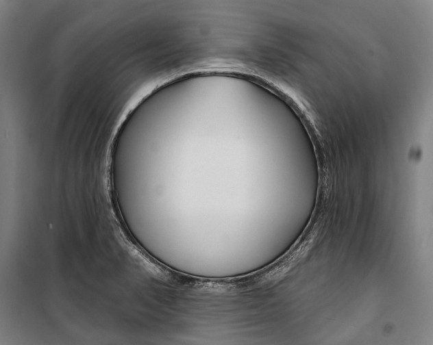 X0000099541374200806061445