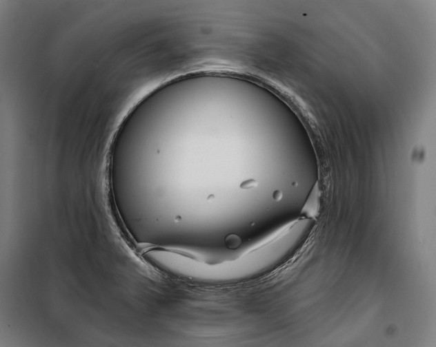 X0000099541375200806061445