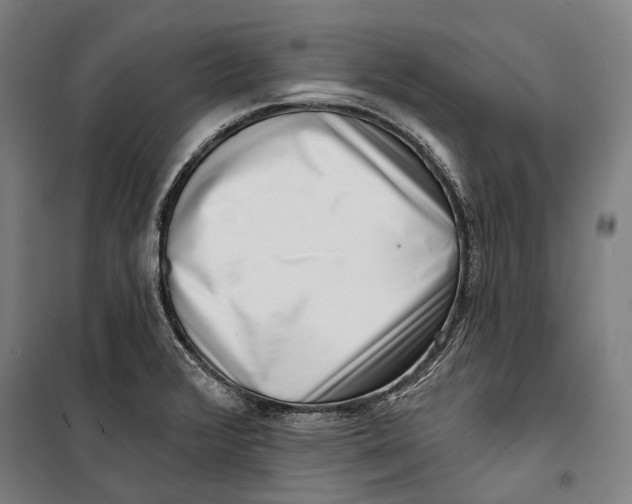 X0000099541376200806061445