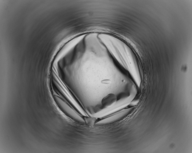 X0000099541379200806061445