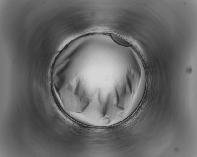 X0000099541382200806061445