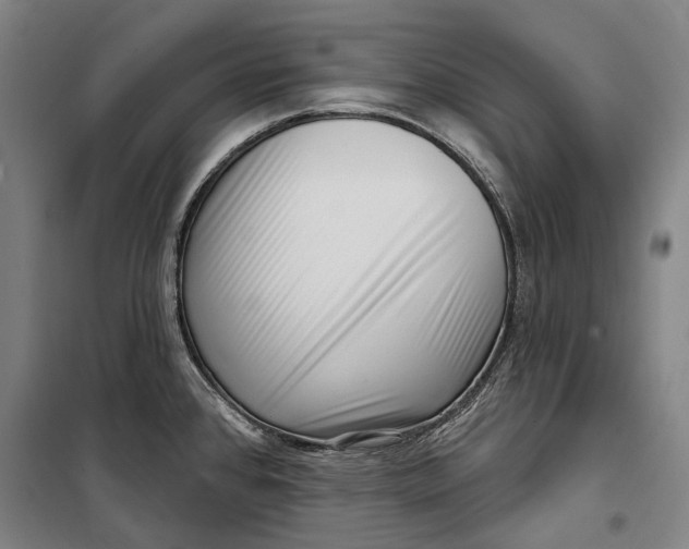 X0000099541384200806061445