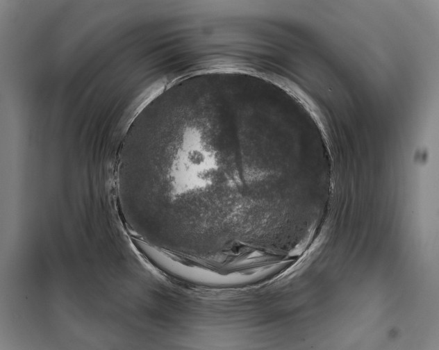 X0000099541385200806061445