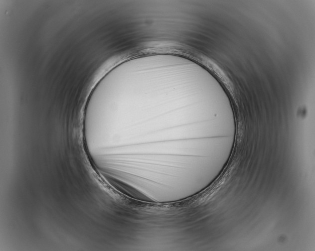 X0000099541386200806061445