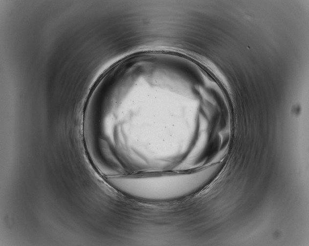 X0000099541388200806061445