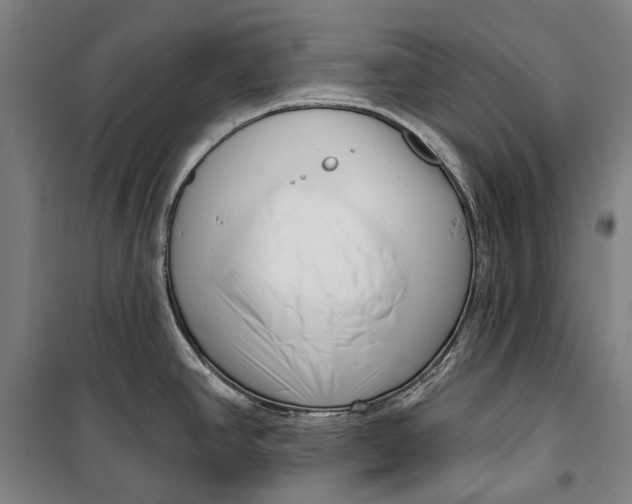 X0000099541390200806061444