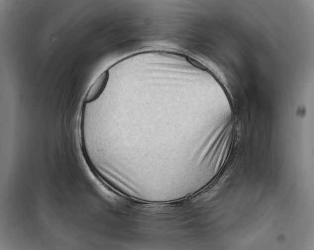 X0000099541391200806061444