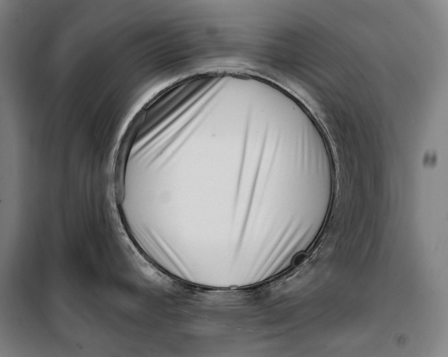 X0000099541392200806061444