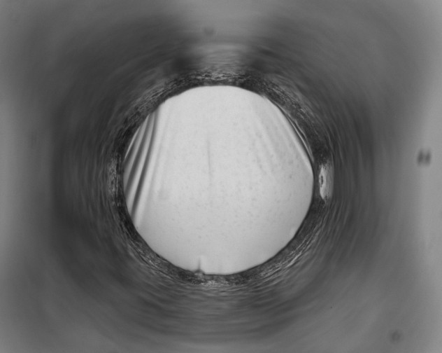 X0000099541395200806061444