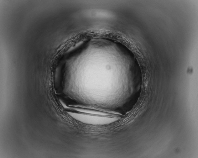 X0000099541397200806061444