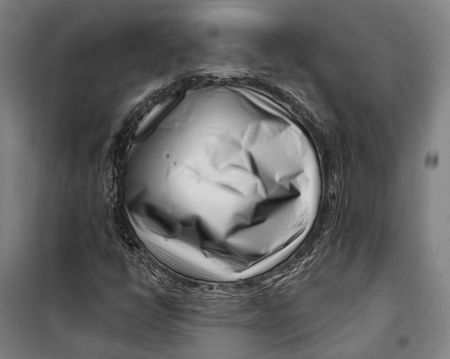 X0000099541398200806061444