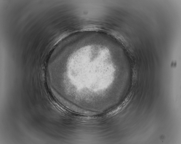 X0000099541401200806061444