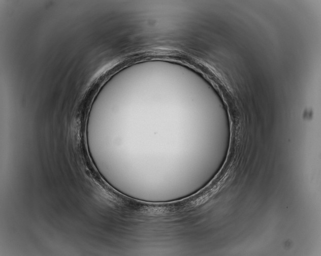 X0000099541402200806061444