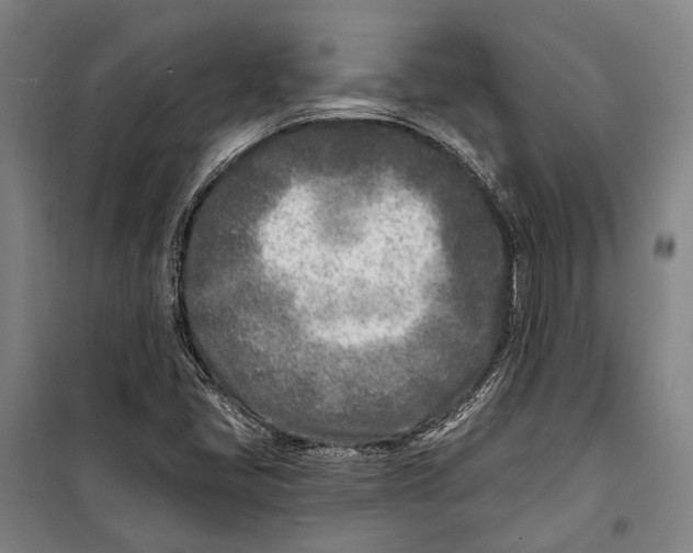 X0000099541405200806061444