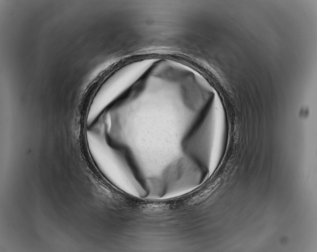 X0000099541406200806061444