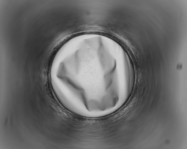 X0000099541407200806061444