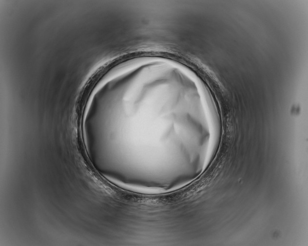 X0000099541408200806061444