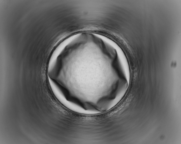 X0000099541409200806061444