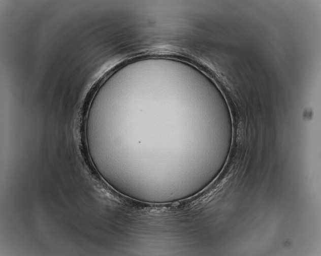 X0000099541410200806061444