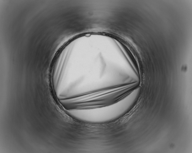 X0000099541412200806061444