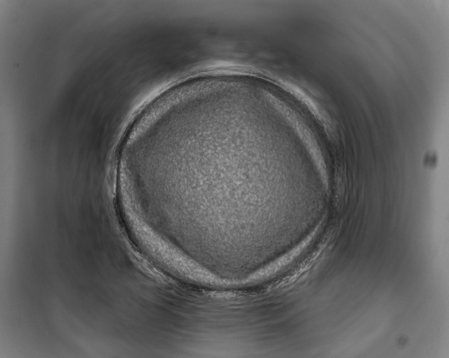 X0000099541413200806061444