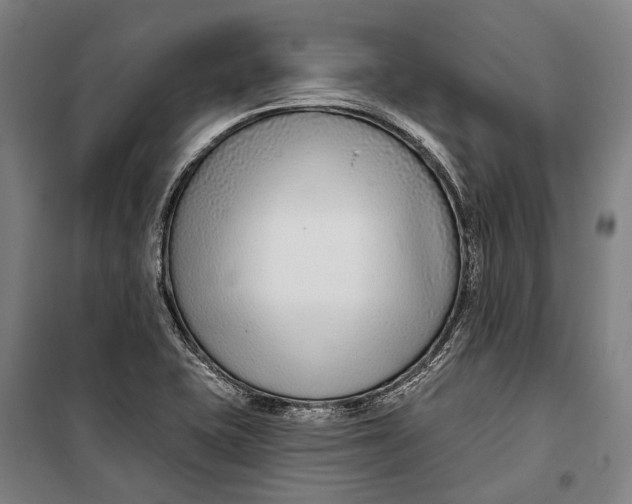 X0000099541415200806061444