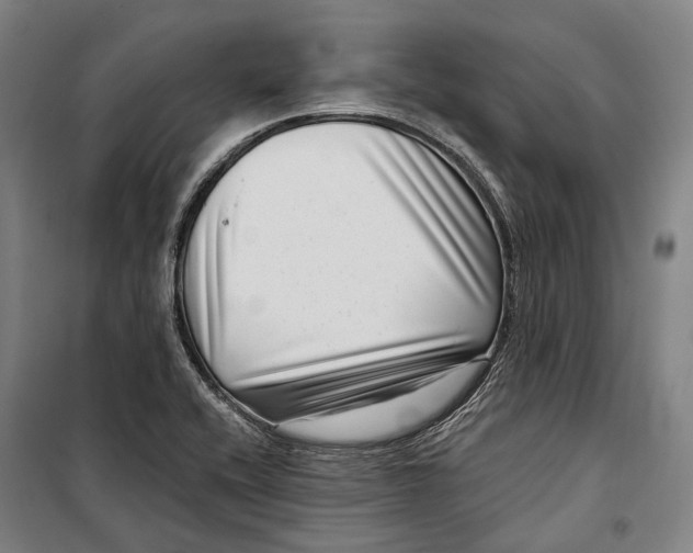 X0000099541416200806061444