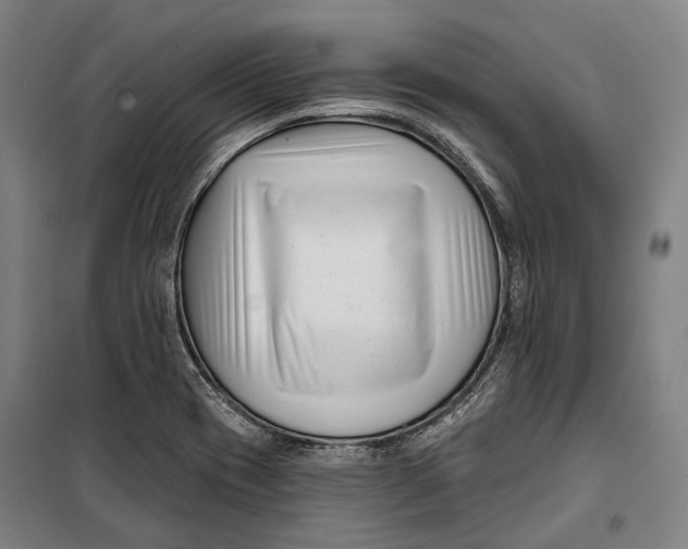 X0000099541417200806061444