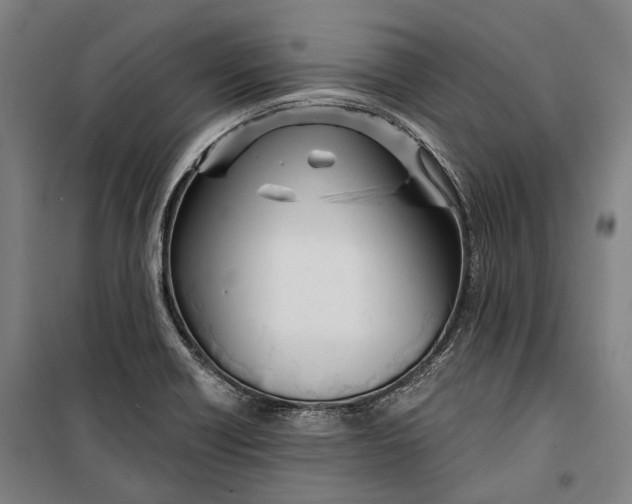 X0000099541418200806061444