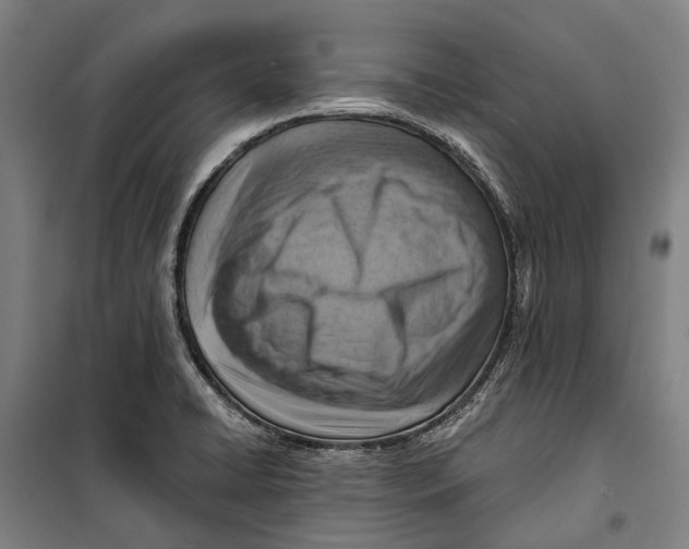 X0000099541422200806061444