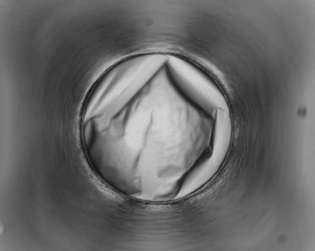 X0000099541423200806061444