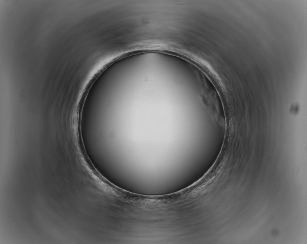 X0000099541424200806061444