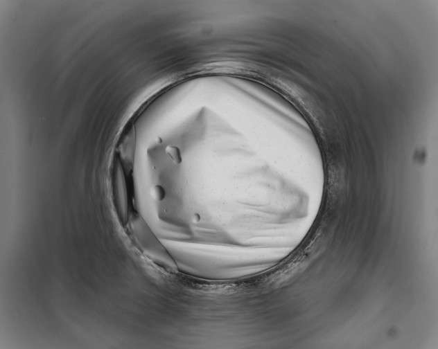 X0000099541426200806061444