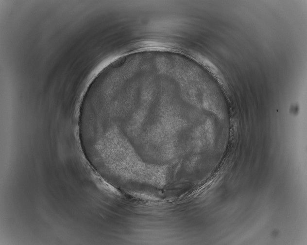 X0000099541427200806061444