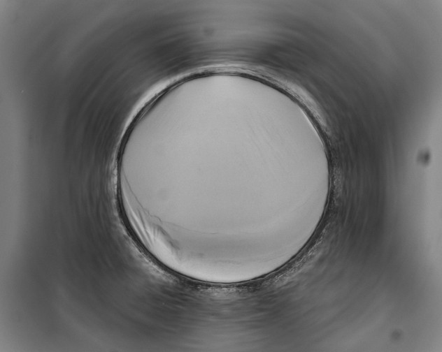 X0000099541428200806061444