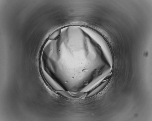 X0000099541430200806061444