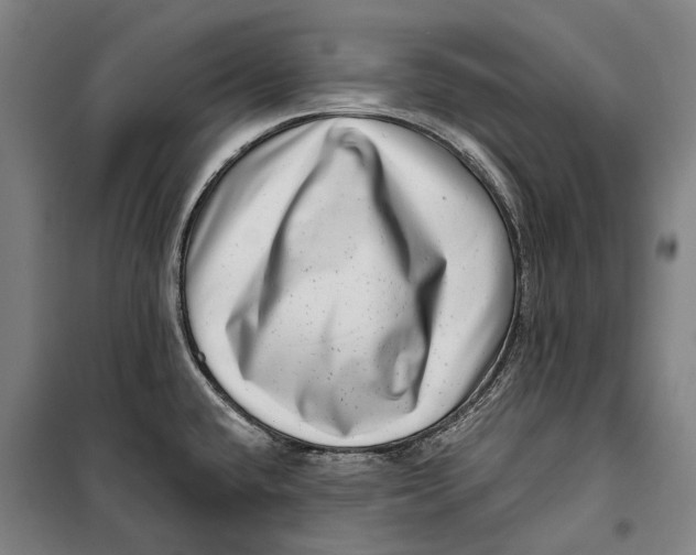 X0000099541432200806061444