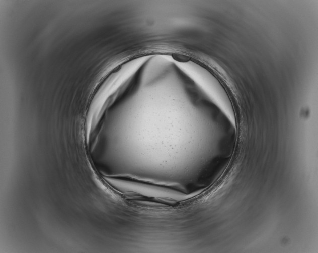 X0000099541433200806061444