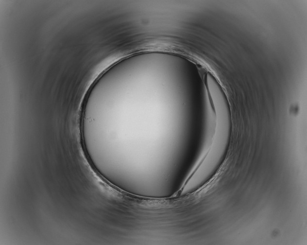 X0000099541434200806061444