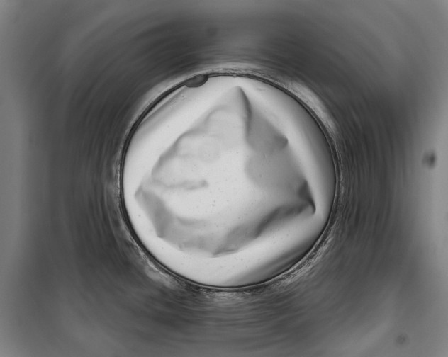 X0000099541436200806061444