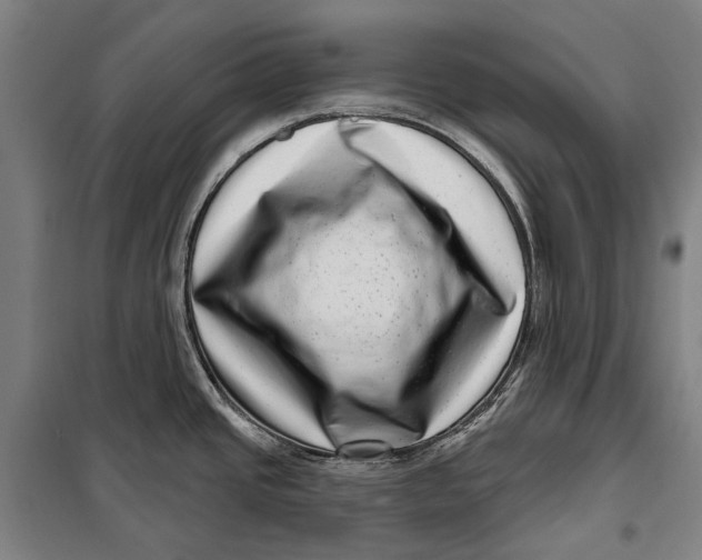 X0000099541437200806061444