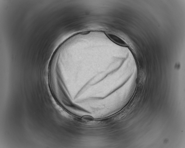 X0000099541439200806061444